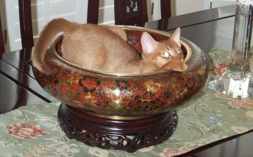abowl.jpg (18819 bytes)