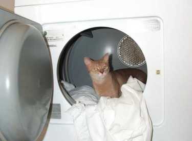 bbndryer.jpg