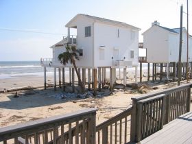 September 22, 2008