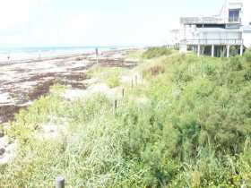 Sea Isle