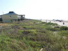 July 21, 2008