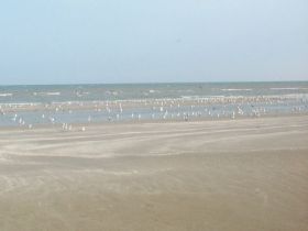 Sea Isle