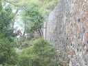 Wall at Wall Bay